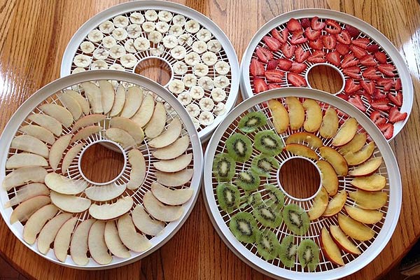 Food Dehydrator For Healthy Snacks