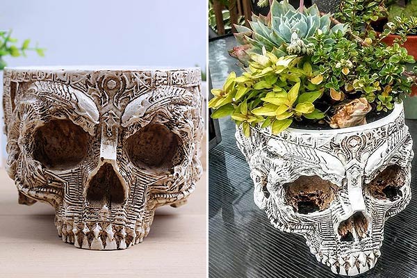 Skull Planter With Alien Carvings