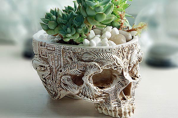 Skull Planter With Alien Carvings