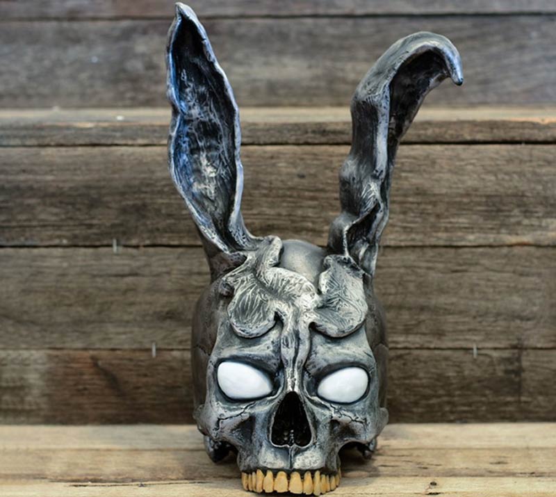 rabbit ear skull