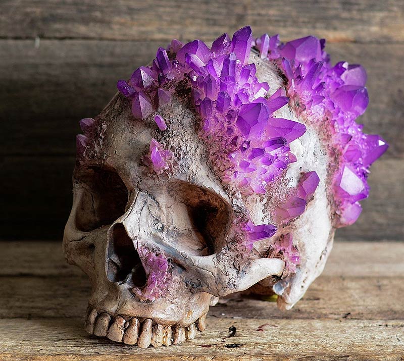skull with crystal growth