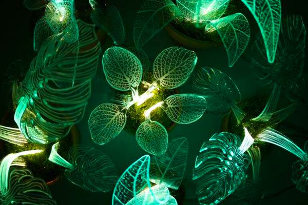 downward view of various green acrylic plant lamps