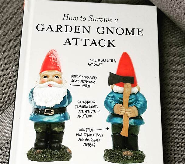50 Garden Gnomes For Sale That You Ll Love I Need It