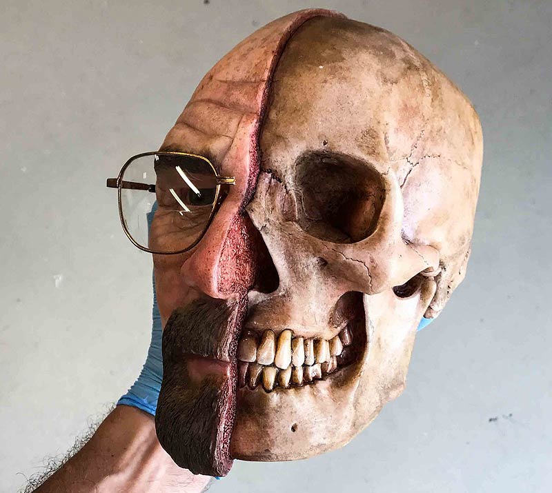 walter white half dissection skull