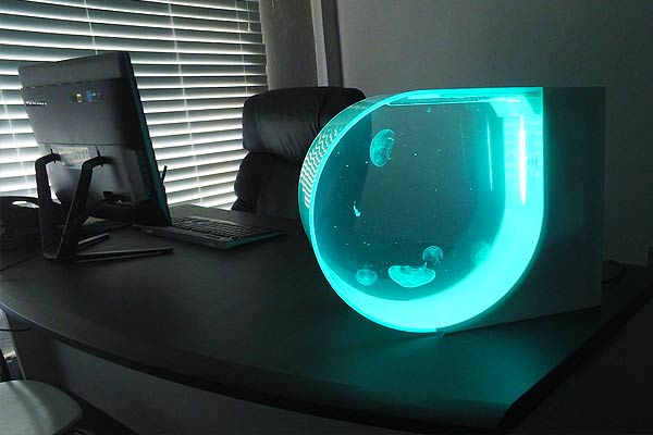 Desktop Jellyfish Tank I Need It