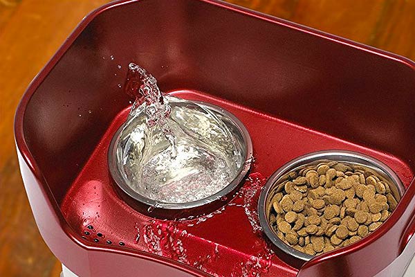 The Mess Proof Pet Bowls I Need It