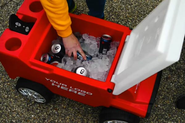 remote control rover cooler